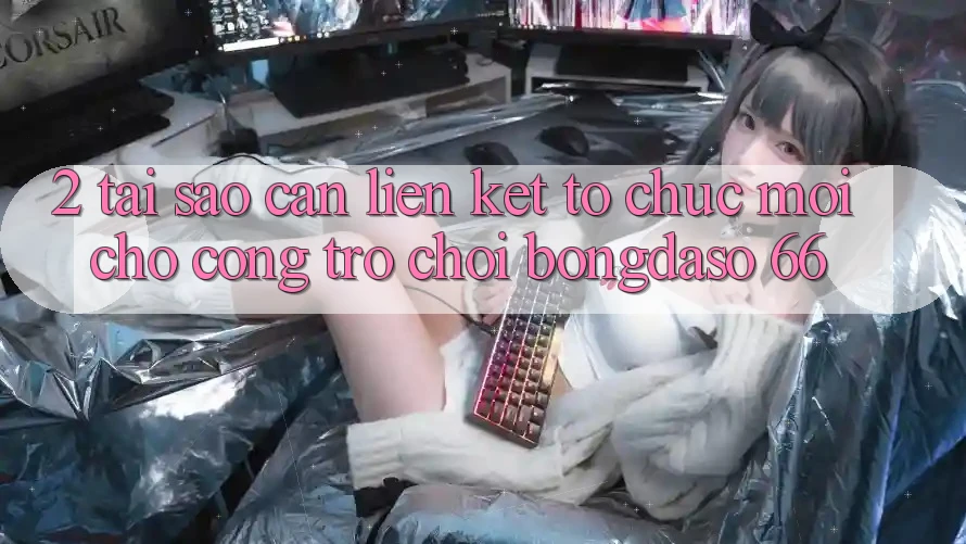 2. Tại Sao Cần “Liên kết Tổ chức Mới” Cho Cổng Trò chơi Bongdaso 66? 2. Tại Sao Cần “Liên kết Tổ chức Mới” Cho Cổng Trò chơi Bongdaso 66?