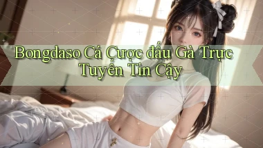 bongdaso  cá cược đấu gà trực tuyến tin cậy