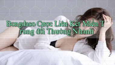 bongdaso  cược liên kết miền trung đổi thưởng nhanh