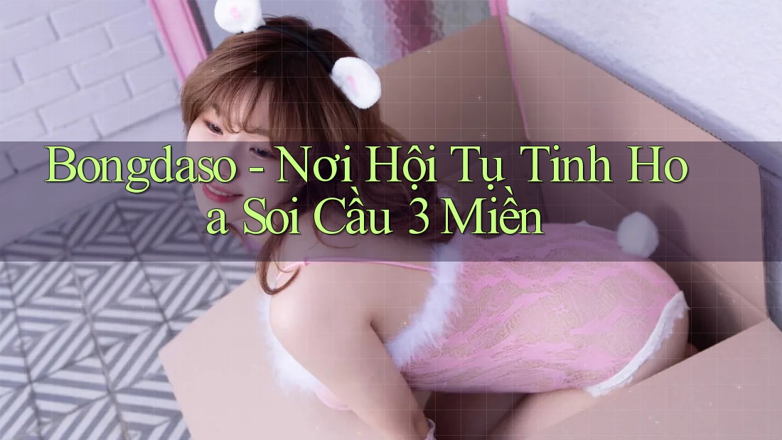 Bongdaso - Nơi Hội Tụ Tinh Hoa Soi Cầu 3 Miền Bongdaso - Nơi Hội Tụ Tinh Hoa Soi Cầu 3 Miền