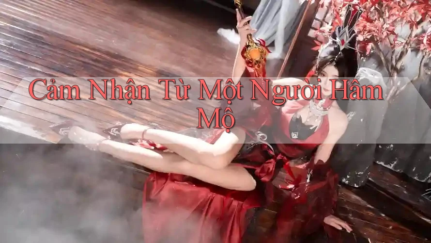 Cảm Nhận Từ Một Người Hâm Mộ Cảm Nhận Từ Một Người Hâm Mộ