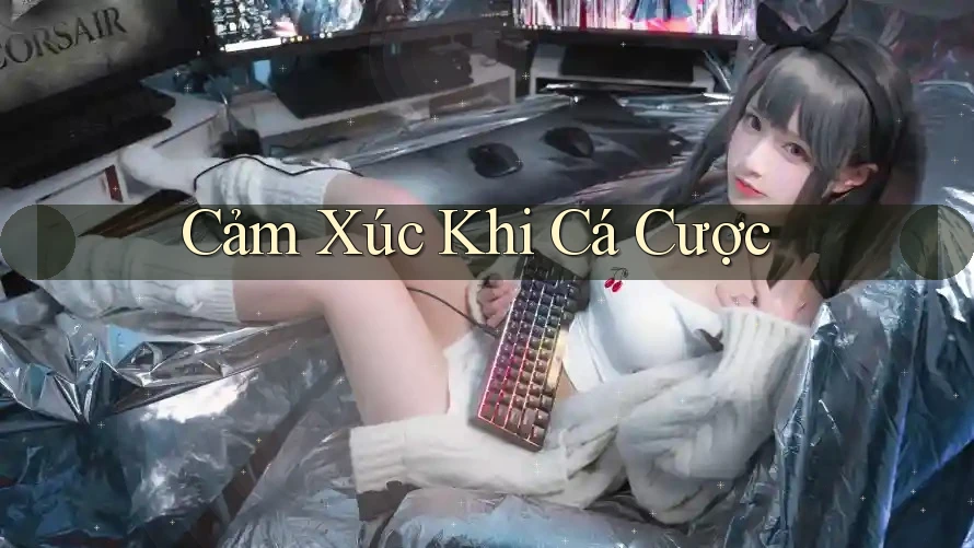 Cảm Xúc Khi Cá Cược