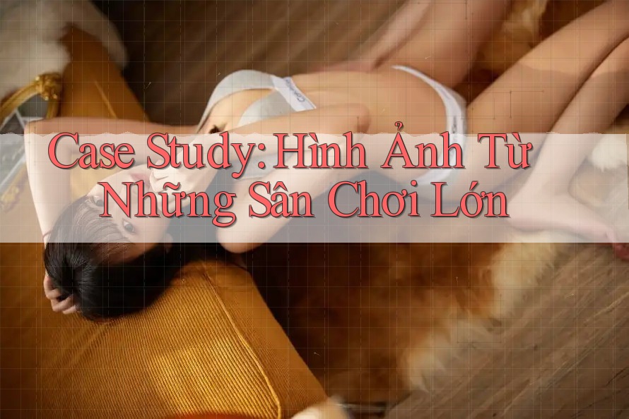 Case Study: Hình Ảnh Từ Những Sân Chơi Lớn Case Study: Hình Ảnh Từ Những Sân Chơi Lớn