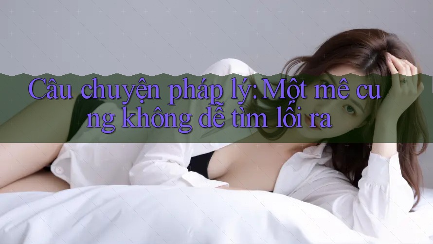 Câu chuyện pháp lý: Một mê cung không dễ tìm lối ra