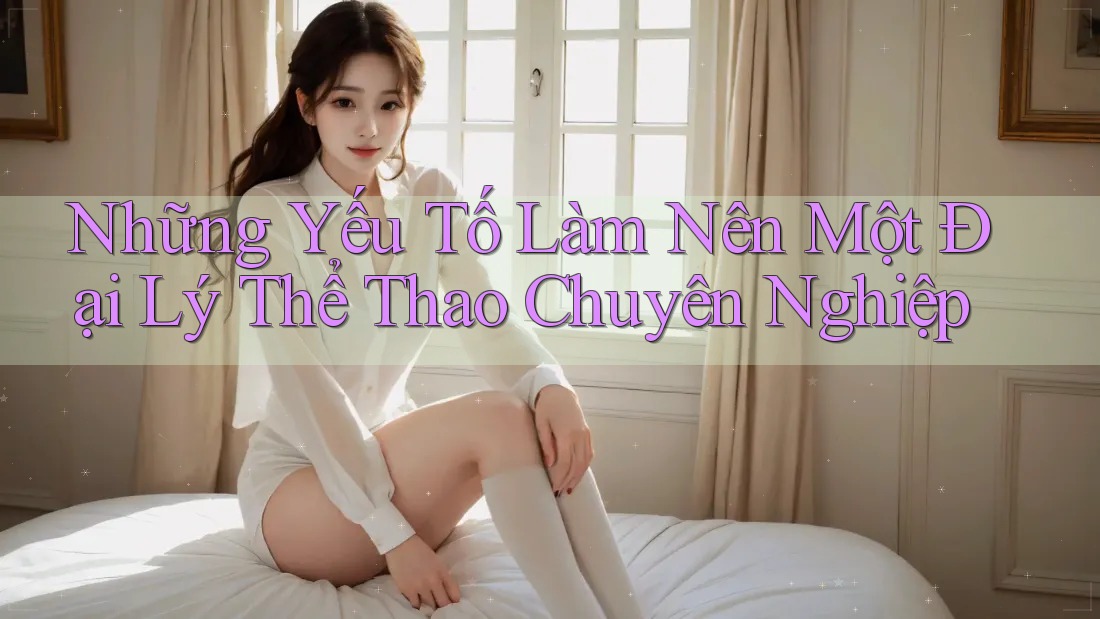 Những Yếu Tố Làm Nên Một Đại Lý Thể Thao Chuyên Nghiệp Những Yếu Tố Làm Nên Một Đại Lý Thể Thao Chuyên Nghiệp