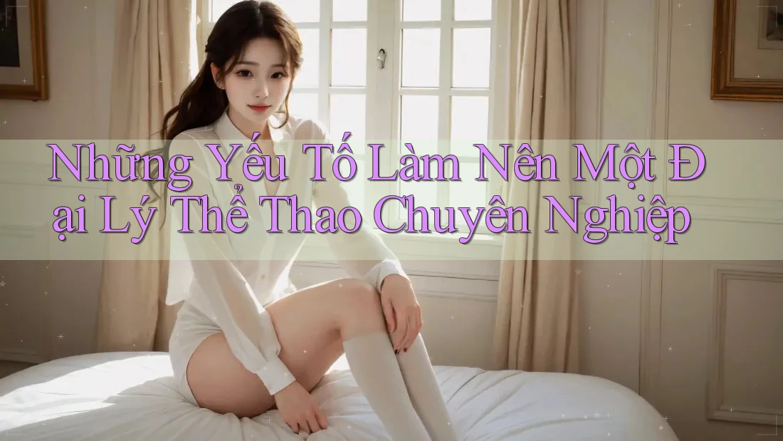 Những Yếu Tố Làm Nên Một Đại Lý Thể Thao Chuyên Nghiệp Những Yếu Tố Làm Nên Một Đại Lý Thể Thao Chuyên Nghiệp