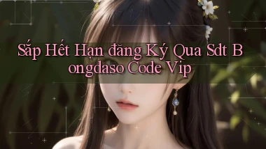 sắp hết hạn đăng ký qua sdt bongdaso code vip
