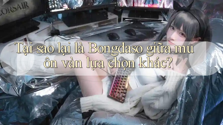 Tại sao lại là Bongdaso giữa muôn vàn lựa chọn khác? Tại sao lại là Bongdaso giữa muôn vàn lựa chọn khác?