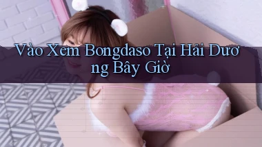 vào xem bongdaso tại Hải Dương bây giờ