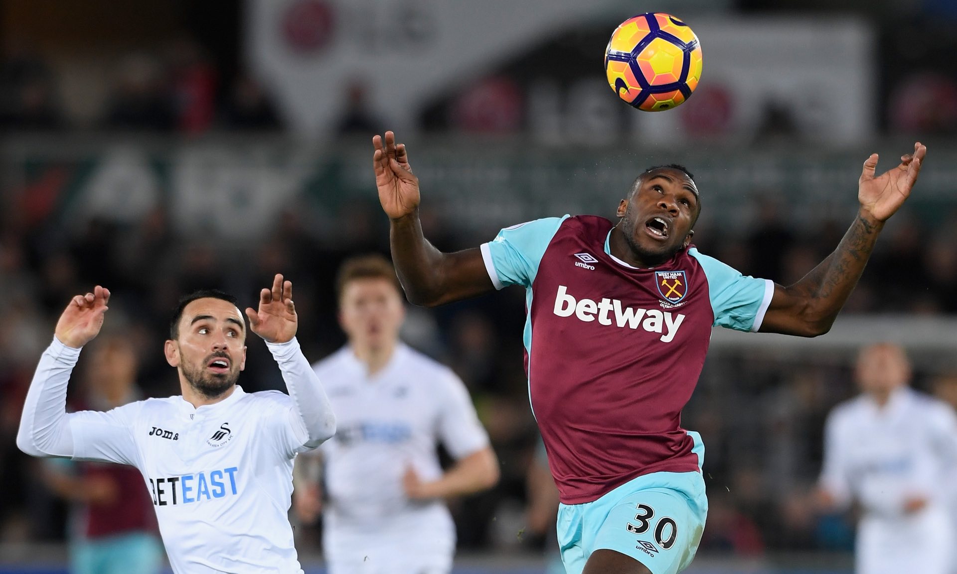 一则报道引 一则报道引